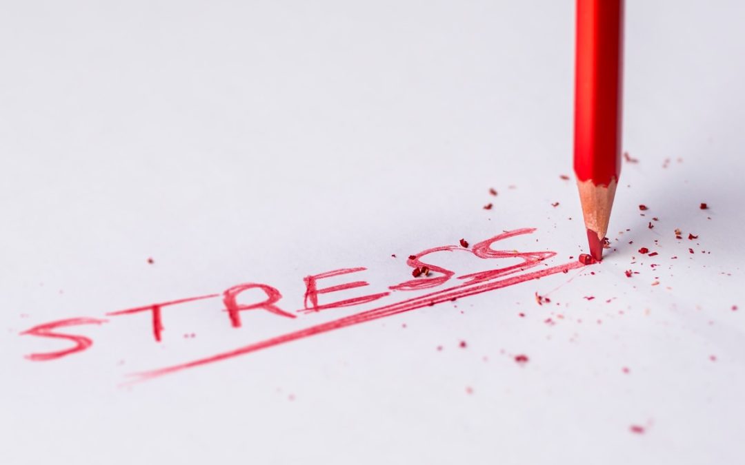 how-does-stress-affect-recovery