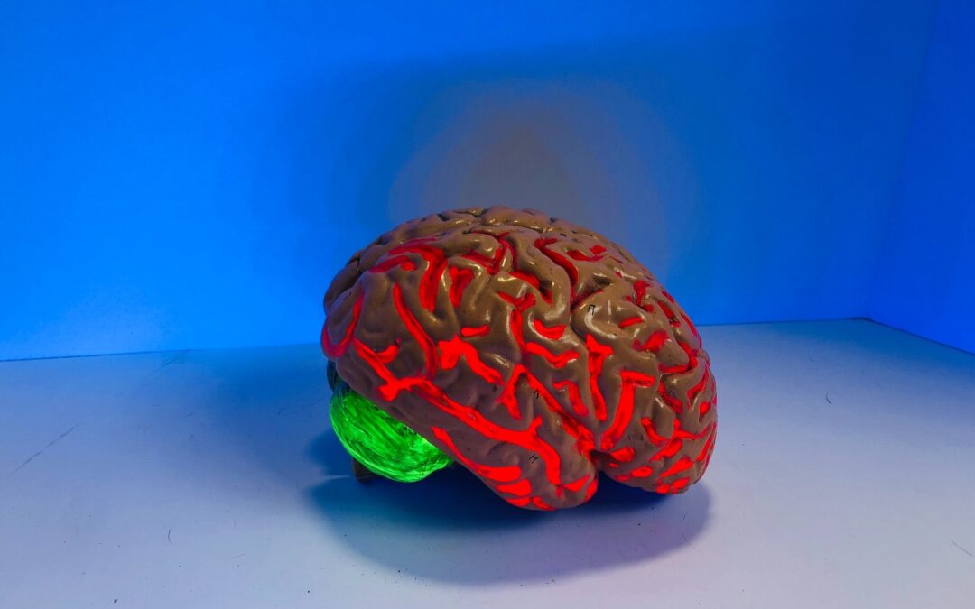 How Does Trauma Impact the Brain?